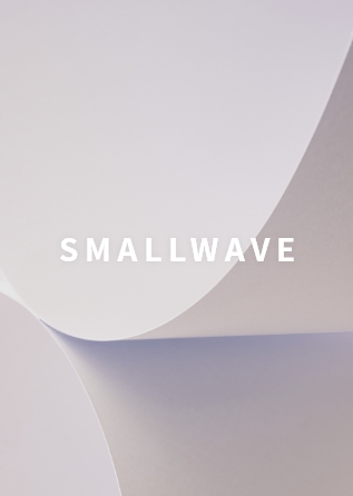 스몰웨이브